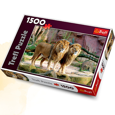 PUZZLE 1500 PCE LIONS