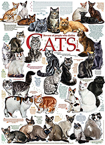 CAT QUOTES 1000 PC JIGSAW PUZZLE