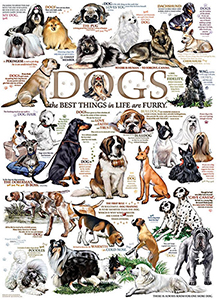 DOG QUOTES 1000 JIGSAW PUZZLE