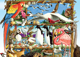 BIRDS OF THE WORLD JIGSAW PUZZLE
