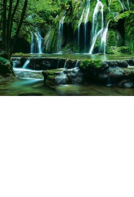 PUZZLE 1000 PCS CASCADES