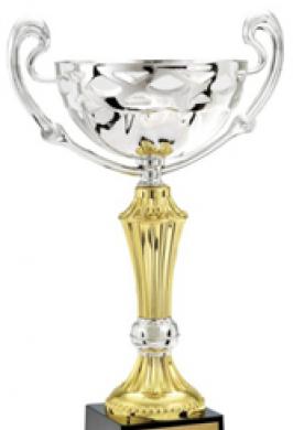 PROVINCIAL CHESS CUP 3ND PLACE