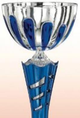 TROPHY SILVER - BLUE 12.5"
