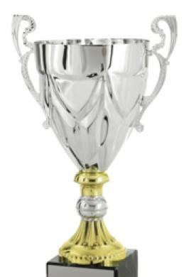 SILVER CUP ON MARBLE BASE 16 1/4"