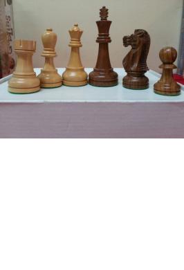 WOOD PIECES POPULAR 3.75"
