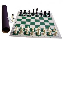 CHESS TUBE U.S. (WITH 2 QUEENS)