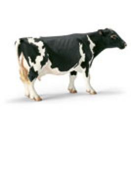HOLSTEIN COW (SCHLEICH)