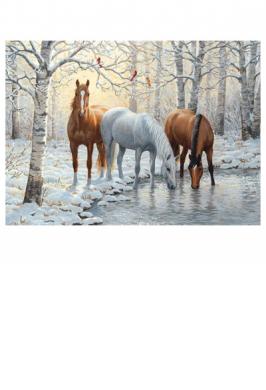 WINTER TRIO 1000 P *