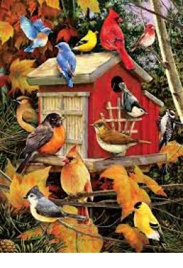 FALL BIRDS JIGSAW PUZZLE