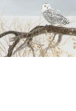 * FALLEN WILLOW SNOWY OWL JIGSAW PUZZLE